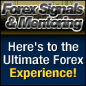 vladimir forex signals