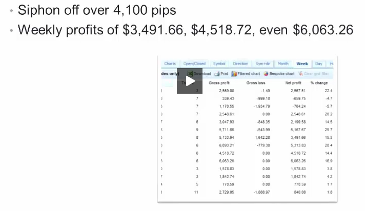 pip gainer pip gainer